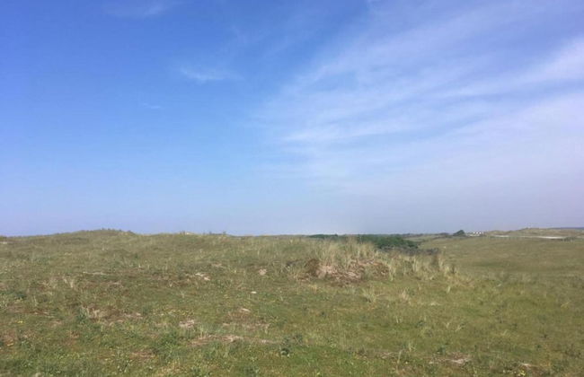 Cottage in Nes-ameland Near Coastline - Foto 28