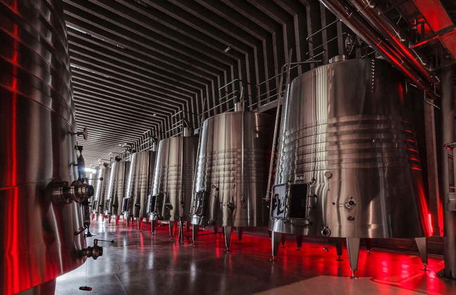 Portia Wine Cellar Tour - Photo 3