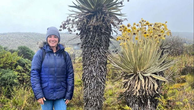 Foto con las palmeras