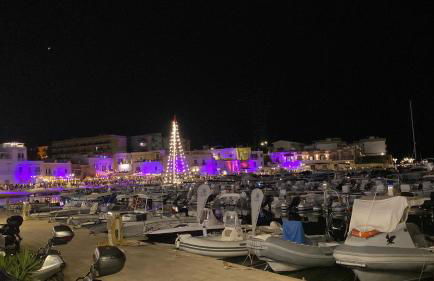 Sole house - Foto 44