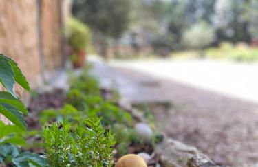 Villa Sanz - Foto 25