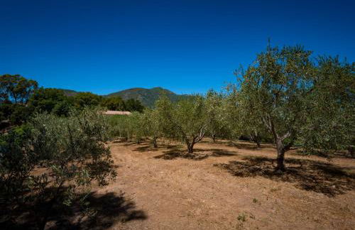 Holiday Home Maison Gerard by Interhome - Foto 46