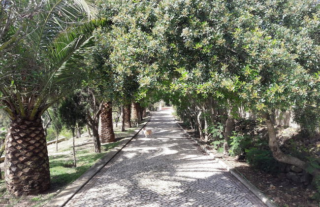 Impeccable 3 Bedroom House, sea View in Aljezur - Foto 22