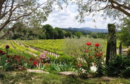 Holiday Home FERIENHAUS- FERIENHAUS MAISON DE LAVANDE - LAVENDELHAUS by Interhome - Foto 21