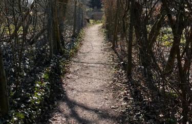 Kinderparadies Alt Lüxem - Foto 34