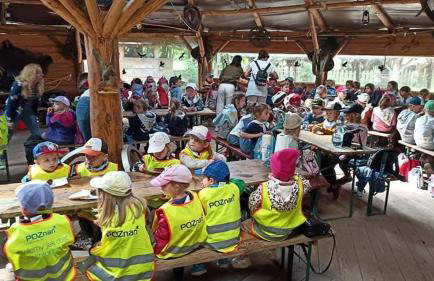 Agroturystyka Traperska Osada - Foto 28