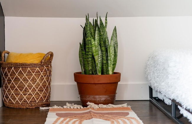 NEW Luxe Pet Friendly Free Parking Downtown - Foto 24