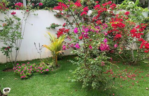 Large house with pool, barbecue and garden - Foto 28