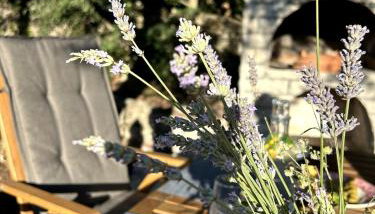 Cozy apartment with private yard - Foto 1