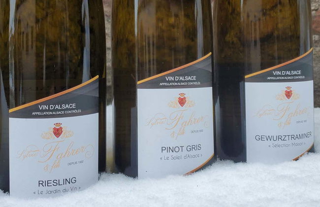 Visita às vinícolas Sylvie Fahrer et Fils - Foto 10