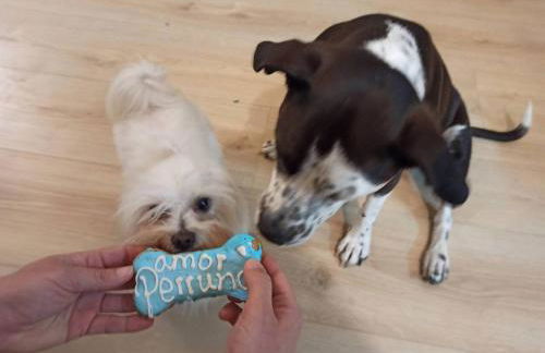 Las Yucas rural house - Foto 48