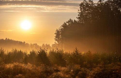 Agroturystyka Borówka - Foto 71