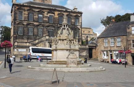 The Little Beech Tree - Foto 44