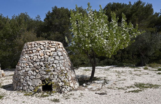 Borgo del Sole Salento - Photo 76