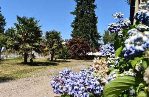Gîte calme et paisible en forêt, idéal pour famille et amis - FR-1-410-486 - Foto 5