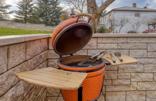 Apartment Nina Pazin - Photo 18