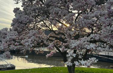 Enigma Lodge - Foto 43