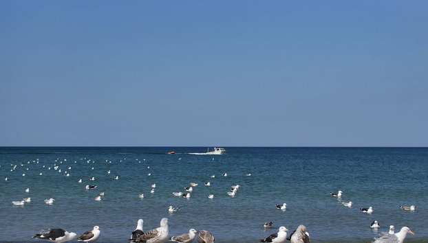 "Fani" - 200m from the sea - Foto 4, Outdoor