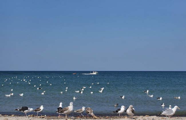 "Fani" - 200m from the sea - Foto 4