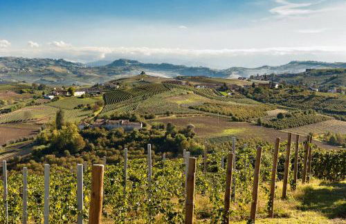 Il Vigneto - Foto 36