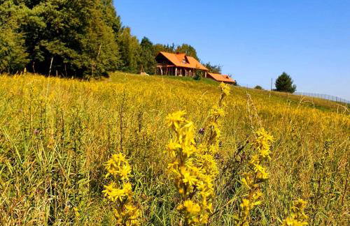 Dom na Kamieńcu - Photo 21