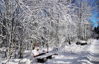 Ferienwohnung Heimatliebe mit Alpenblick - Foto 29