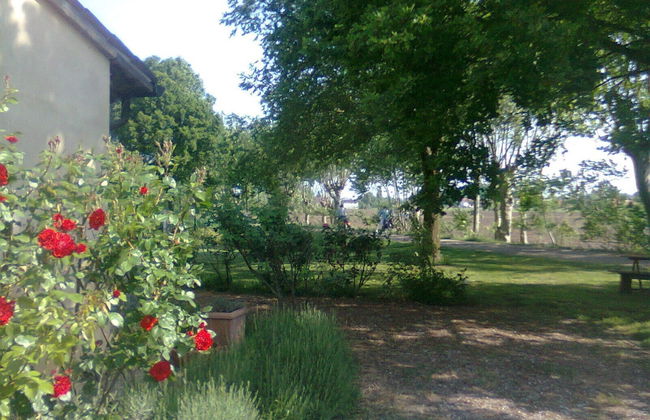 Agriturismo La Rovere - Foto 39