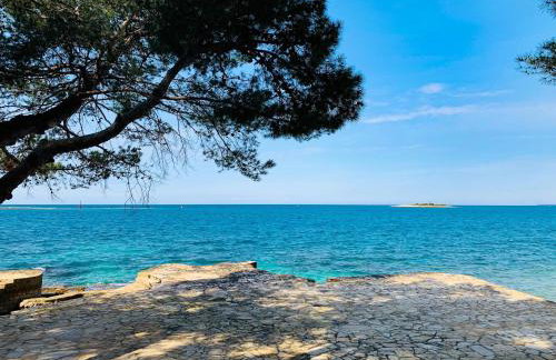 APP FIORELA - Foto 16