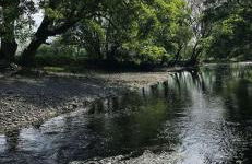 Glan yr Afon Un - Relax, Recuperate, Enjoy - Foto 21