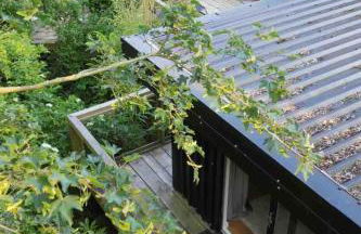 Natures Edge Cabin - Photo 34