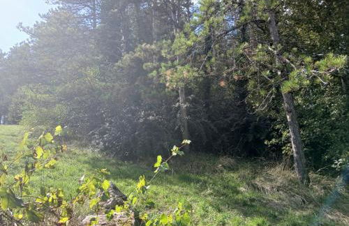 Les Gîtes de La Moure Basse - Foto 23