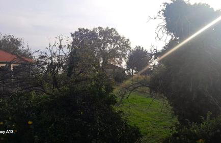 Pelion Malaki- Casa Verde - Foto 77