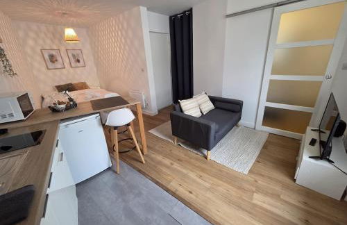 Le Timon - large studio avec Wi-Fi - Foto 12