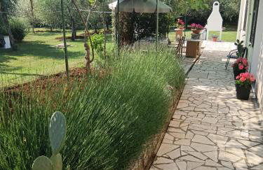 Apartment Greta - Photo 30