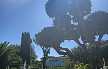 Sweet Dreams - Foto 25