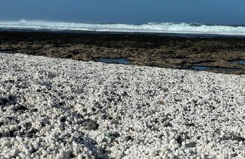 MarVillaFuerte - Foto 59