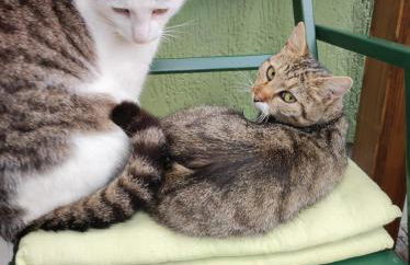 Töpferblick - Foto 6