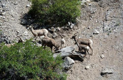 Riverside Cabin with Rare Claw-Foot Bathtub, Montana - Foto 22