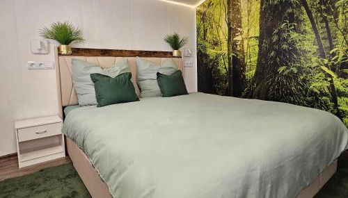 Grünhäuschen im Erzgebirge, 620 m üdM - Foto 2