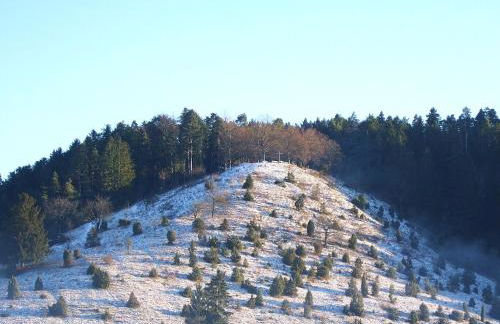 MY HOME Am DISSENHORN - Foto 7