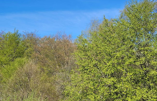 Charming Lakeside Cottage Getaway - Photo 20