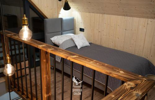 Stodoła Orłów - Domek z Jacuzzi na wyłączność - Foto 42