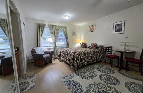 Saranac Lake Studio Apartment - Foto 12