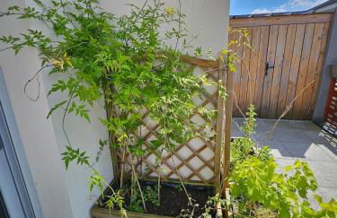 Cozy Family - Foto 19