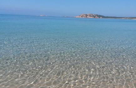 agriturismo gli olivastri -appartamento bel vedere con piscina ,solarium e vista mare,climatizzatore ,wifi - Photo 22