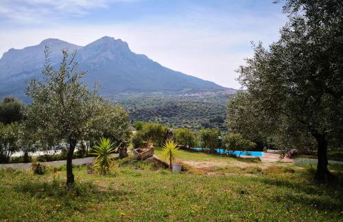 Villa L'Oleandro - Foto 49