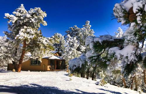 Pine Ridge - Memories are made here! - Foto 25