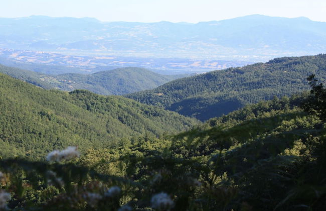 Urban Farmhouse in Umbria With Pool - Foto 39