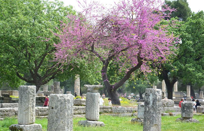 Yiannis' Maizonette Ancient Olympia - Foto 25