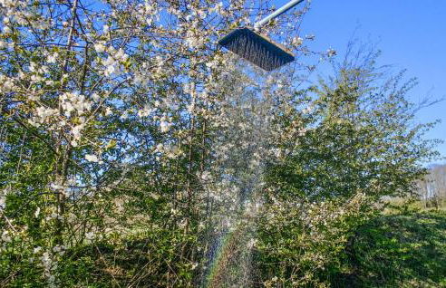 Cozy Home In Dörphof With Sauna - Foto 28